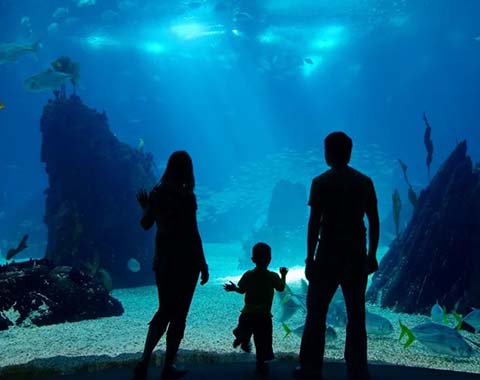A family at an aquarium