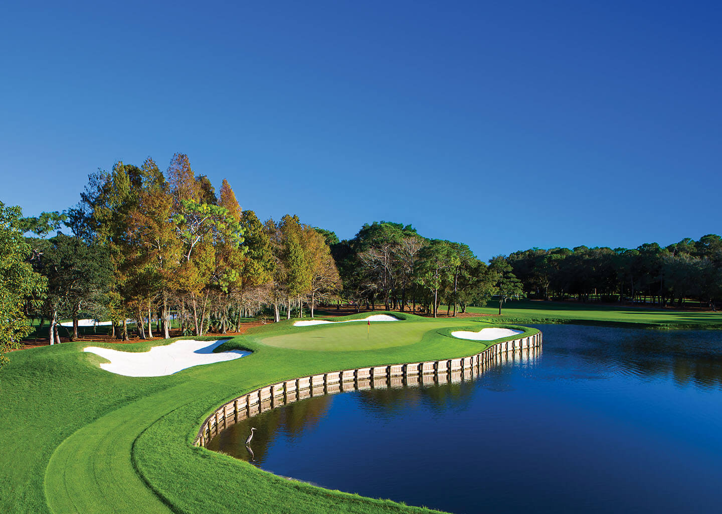 Full Swing Golf Package at Innisbrook Resort, Palm Harbor, Florida