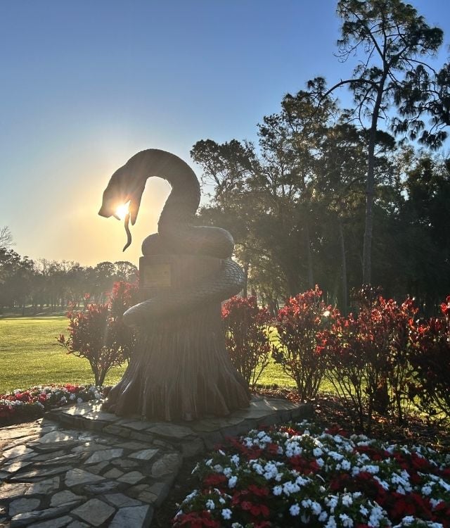 A guy on a golf course